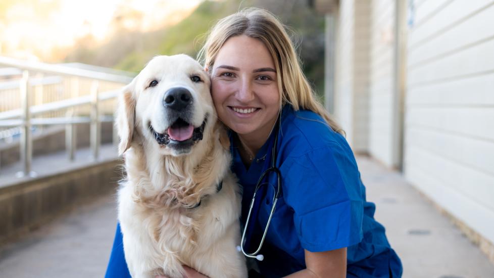 A vet hugs a Golden Retriever.